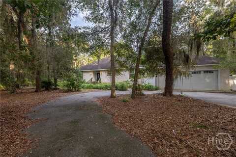 1231 Delegal Drive NE, Townsend, GA 31331