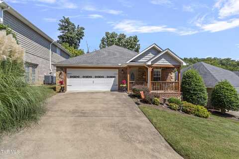106 Bridgewater Court unit: 0, Gray, TN 37615