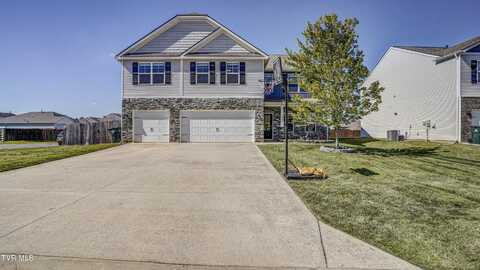 6775 Wildlife Circle, Piney Flats, TN 37686
