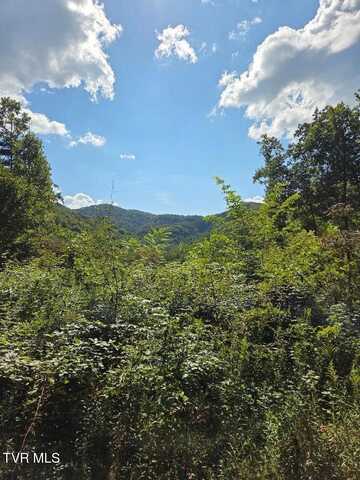Tbd Tiger Creek Road, Roan Mountain, TN 37687