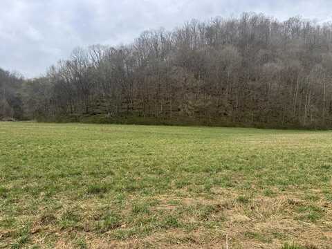 561 Pine Lick Rd, WHITLEYVILLE, TN 38588