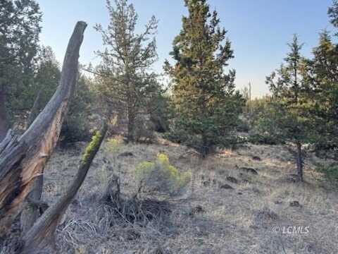 Brant Drive, Bonanza, OR 97623