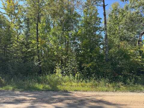 103 Sherwood Drive, Hale, MI 48739