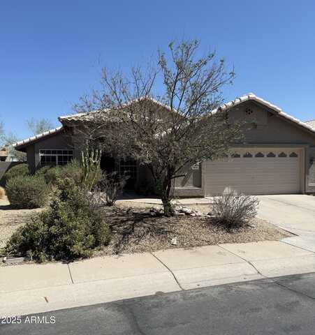 4133 E Graythorn Avenue, Phoenix, AZ 85044