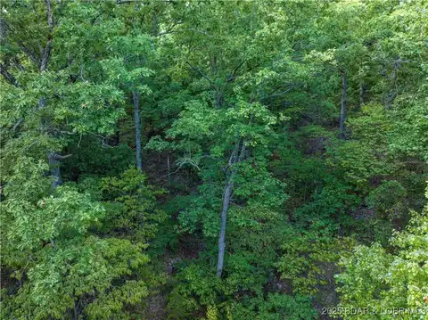 Lonestar Road, Camdenton, MO 65020