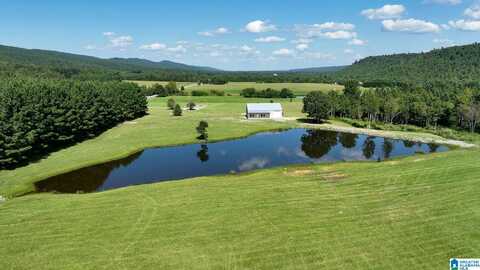 6150 SHOAL CREEK ROAD, ASHVILLE, AL 35953