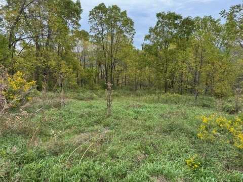 Belle Cornell Drive, Dix, NY 14865