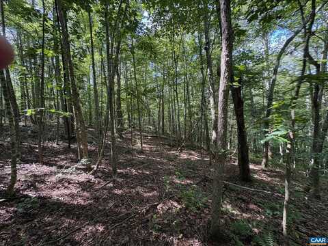 Part of TM 24-1 MITCHELL MOUNTAIN RD, HAYWOOD, VA 22722