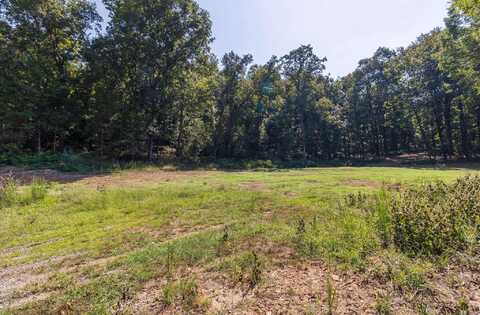 13918 Cat Holler Road, Ozark, AR 72949
