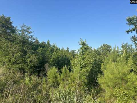 00 Little North Carolina Road, Whitmire, SC 29178