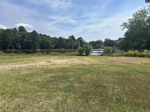 248 Clear Lake Road, Prosperity, SC 29127