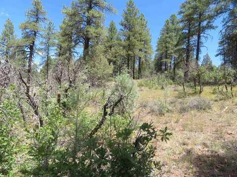 16 Crooked Road, Pagosa Springs, CO 81147