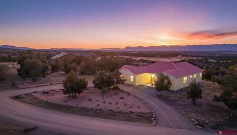 24480 Road V.4, Dolores, CO 81323