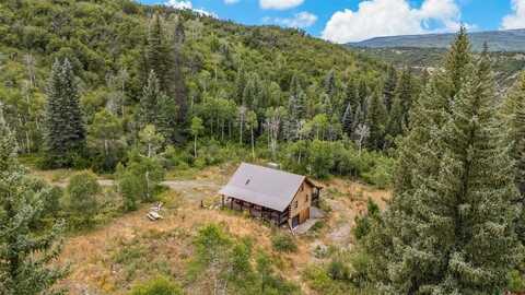 22808 County Road 12 Road, Somerset, CO 81434
