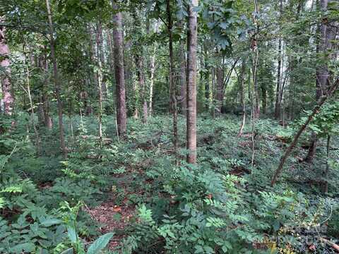 220 Grey Road, Davidson, NC 28036
