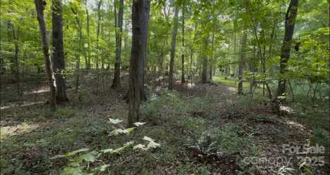 1402 Bloomsberry Lane, Waxhaw, NC 28173