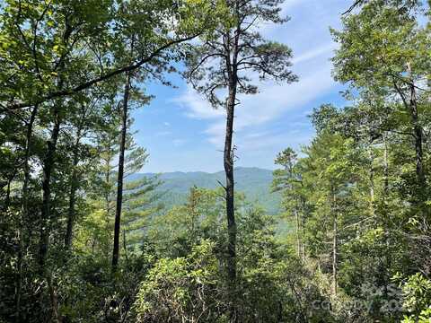 Morgan Drive unit: Tract Ii, Penrose, NC 28766