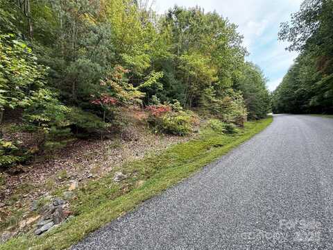 1029 Chippawa Drive unit: 67, Arden, NC 28704