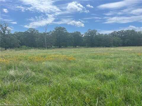 Tract 14 Bean Patch LOOP, Howe, OK 74940