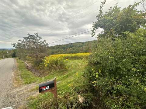 224 Bates Road, HARPURSVILLE, NY 13787