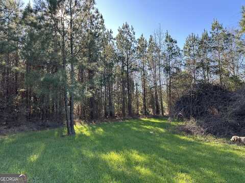 012 Mt Zion Rd, Gordon, AL 36343