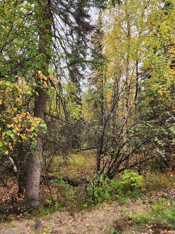 NHN HAYSTACK DRIVE, Fairbanks, AK 99712