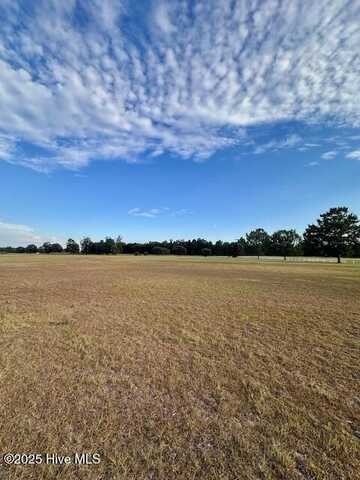 4610 Old Pactolus Road, Greenville, NC 27834