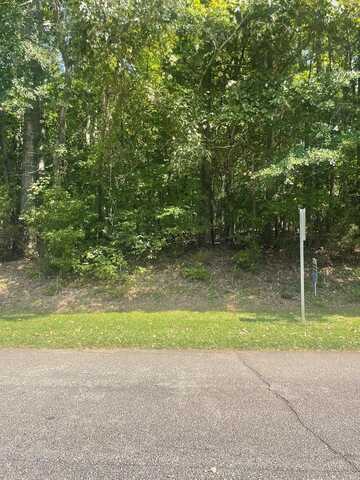 302 Peninsula Dr, Laurens, SC 29360
