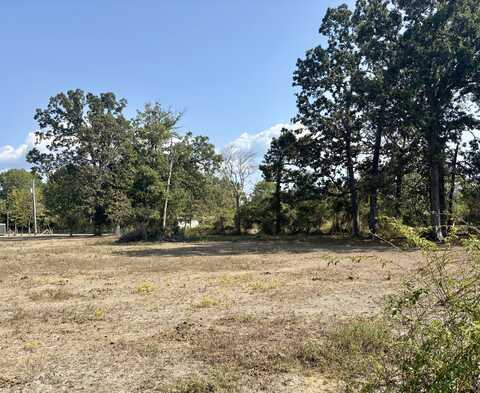 000 Tbd Woodland Street, Taneyville, MO 65759