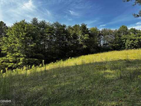Allenridge Dr lot: 63, Sevierville, TN 37876