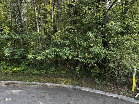 Pembroke Dr lot: 60, Sevierville, TN 37876