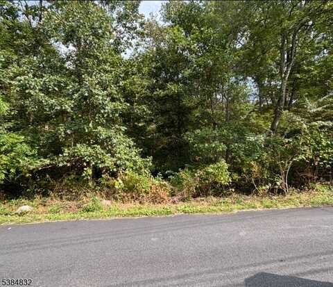 7 Rt 206, Byram Twp., NJ 07874