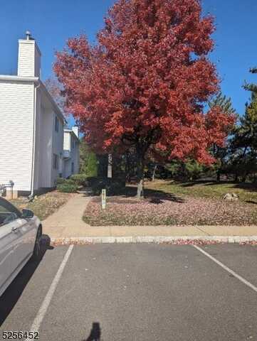 undefined, Raritan, NJ 08822