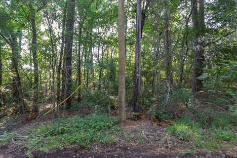 TBD CR 1237, Tyler, TX 75703