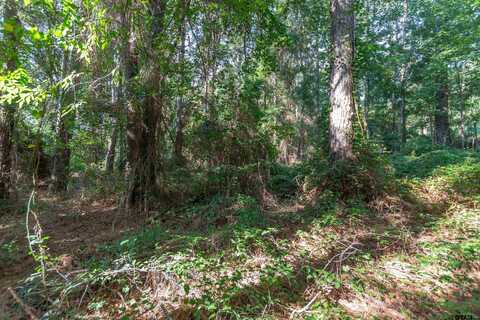 TBD CR 1237, Tyler, TX 75703