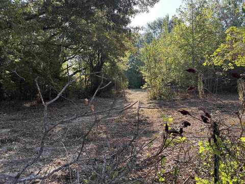 TBD FM 607, Brownsboro, TX 75756