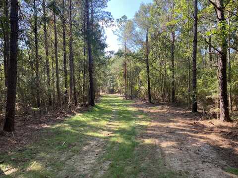 45 Acres Eddie Smith Rd., Hattiesburg, MS 39401