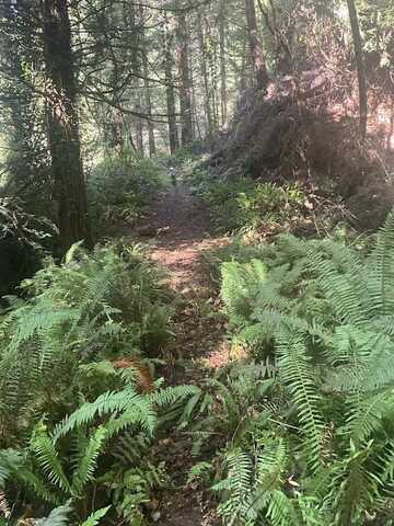 2882 Wood Gulch Road, Eureka, CA 95503
