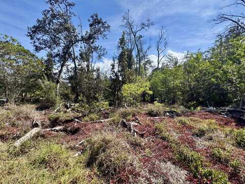 OHIA DR, Ocean View, HI 96737