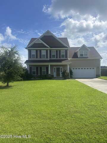 1362 Old Comfort Highway, Trenton, NC 28585