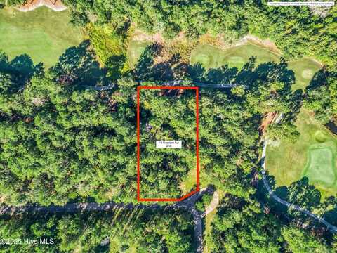 118 Riverstone Run Drive, Wallace, NC 28466