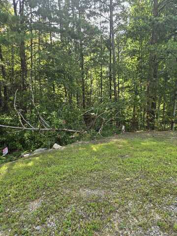 Eagle Mountain Way Way, Newport, TN 37821