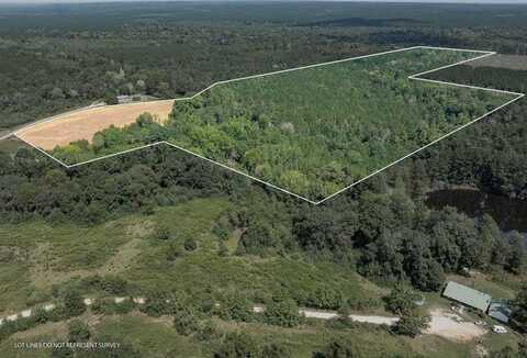 268 SCR 19 D, Taylorsville, MS 39168