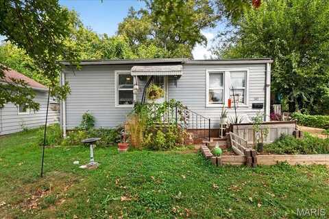 147 W Velma Avenue, Saint Louis, MO 63125