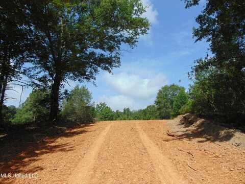 1010-1015 Tarver Lane, Wesson, MS 39191