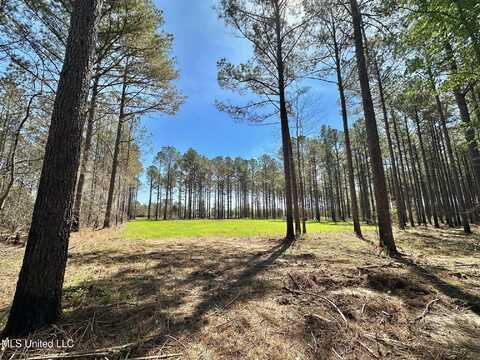 0 Morgan Road, Canton, MS 39046