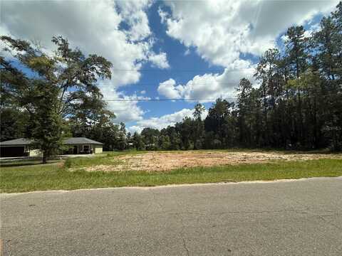 1011 NE 4TH STREET, WILLISTON, FL 32696