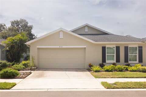 8561 ACORN RIDGE COURT, TAMPA, FL 33625