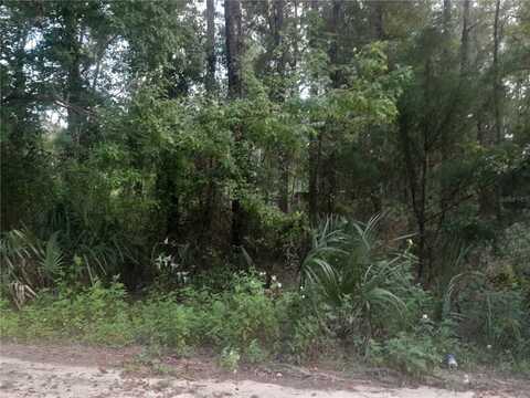 Tbd NE 52ND PLACE, WILLISTON, FL 32696