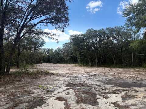 Tbd NE 72ND PLACE, BRONSON, FL 32621